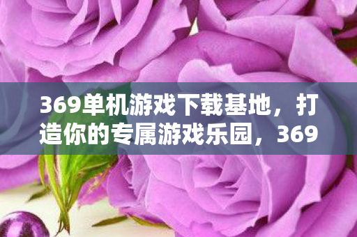 369单机游戏下载基地，打造你的专属游戏乐园，369单机游戏下载基地，打造你的专属游戏乐园