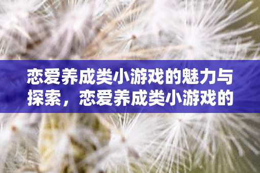 恋爱养成类小游戏的魅力与探索，恋爱养成类小游戏的魅力与探索之旅
