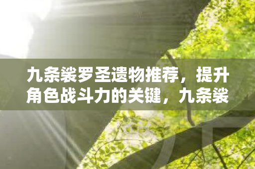 九条裟罗圣遗物推荐，提升角色战斗力的关键，九条裟罗圣遗物搭配指南，提升角色战斗力的关键