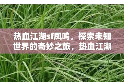 热血江湖sf凤鸣,探索未知世界的奇妙之旅,热血江湖sf凤鸣,探索未知世界的奇妙之旅 热血江湖sf凤鸣,探索未知世界的奇妙之旅,热血江湖sf凤鸣,探索未知世界的奇妙之旅