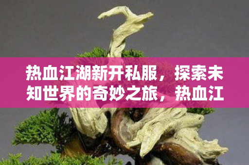 热血江湖新开私服，探索未知世界的奇妙之旅，热血江湖新开私服，探索未知世界的奇妙之旅