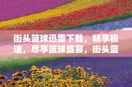 街头篮球迅雷下载，畅享极速，尽享篮球盛宴，街头篮球迅雷极速下载，畅享篮球盛宴