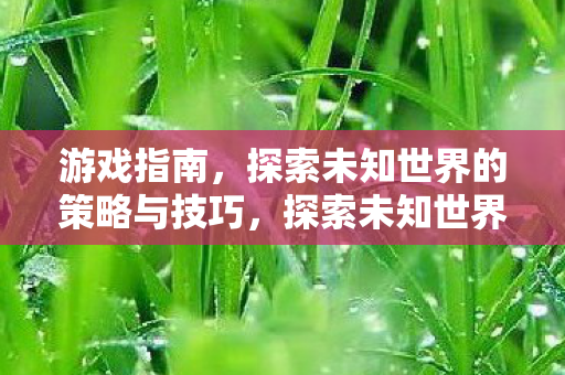 游戏指南,探索未知世界的策略与技巧,探索未知世界的游戏策略与技巧指南 游戏指南,探索未知世界的策略与技巧,探索未知世界的游戏策略与技巧指南
