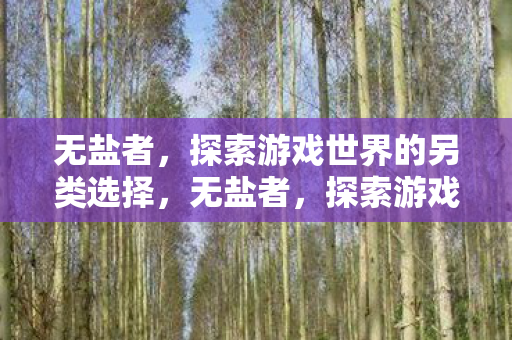 无盐者，探索游戏世界的另类选择，无盐者，探索游戏世界的另类选择