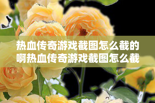 热血传奇游戏截图怎么截的啊热血传奇游戏截图怎么截的图片