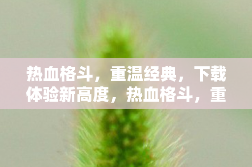热血格斗,重温经典,下载体验新高度,热血格斗,重温经典,下载体验新高度 热血格斗,重温经典,下载体验新高度,热血格斗,重温经典,下载体验新高度