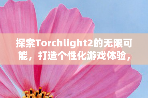 探索Torchlight2的无限可能,打造个性化游戏体验,探索个性化游戏体验,在Torchlight2中打造无限可能 探索Torchlight2的无限可能,打造个性化游戏体验,探索个性化游戏体验,在Torchlight2中打造无限可能