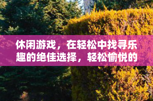 休闲游戏，在轻松中找寻乐趣的绝佳选择，轻松愉悦的选择，休闲游戏