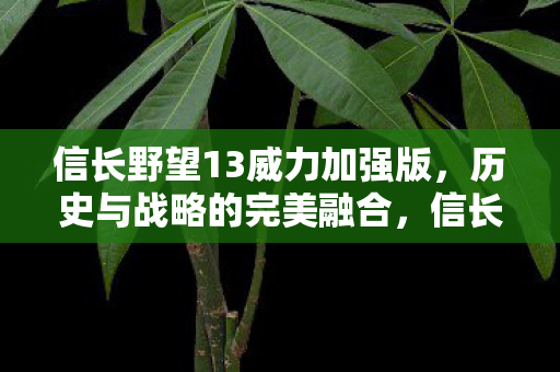 信长野望13威力加强版，历史与战略的完美融合，信长野望13威力加强版，历史与战略的完美融合