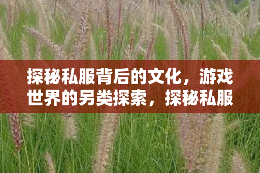 探秘私服背后的文化,游戏世界的另类探索,探秘私服背后的文化,游戏世界的另类探索 探秘私服背后的文化,游戏世界的另类探索,探秘私服背后的文化,游戏世界的另类探索
