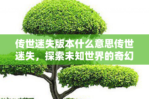 传世迷失版本什么意思传世迷失，探索未知世界的奇幻之旅，探索传世迷失版本，奇幻之旅启程