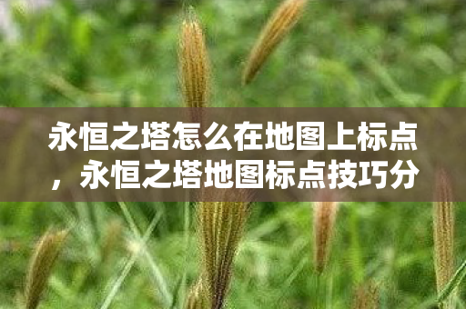 永恒之塔怎么在地图上标点,永恒之塔地图标点技巧分享 永恒之塔怎么在地图上标点,永恒之塔地图标点技巧分享