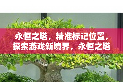 永恒之塔，精准标记位置，探索游戏新境界，永恒之塔精准标记位置，开启游戏探索新篇章