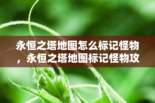 永恒之塔地图怎么标记怪物图片
