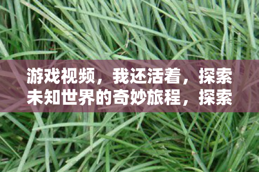 游戏视频，我还活着，探索未知世界的奇妙旅程，探索未知世界的奇妙旅程，我还活着游戏视频