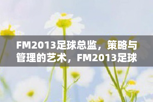 FM2013足球总监,策略与管理的艺术,FM2013足球总监,策略与管理的艺术 FM2013足球总监,策略与管理的艺术,FM2013足球总监,策略与管理的艺术