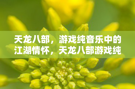 天龙八部,游戏纯音乐中的江湖情怀,天龙八部游戏纯音乐,江湖情怀的悠扬旋律 天龙八部,游戏纯音乐中的江湖情怀,天龙八部游戏纯音乐,江湖情怀的悠扬旋律