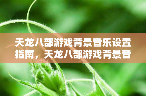 天龙八部游戏背景音乐设置指南,天龙八部游戏背景音乐设置全解析 天龙八部游戏背景音乐设置指南,天龙八部游戏背景音乐设置全解析