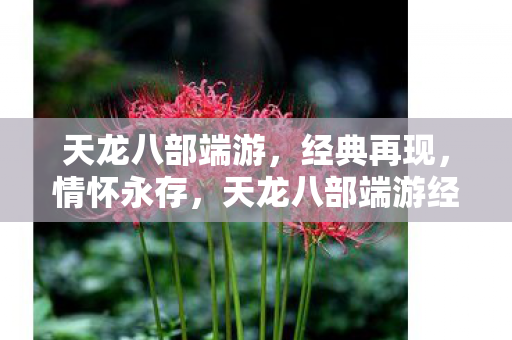 天龙八部端游,经典再现,情怀永存,天龙八部端游经典再现,情怀永存 天龙八部端游,经典再现,情怀永存,天龙八部端游经典再现,情怀永存