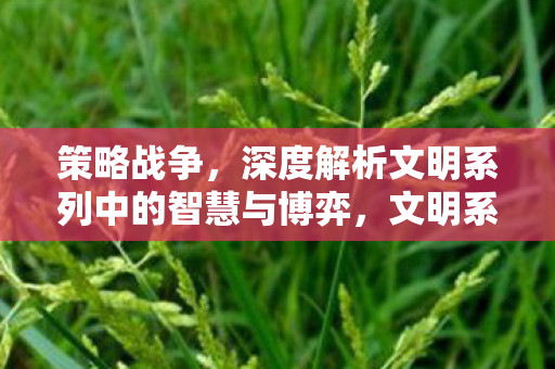 策略战争,深度解析文明系列中的智慧与博弈,文明系列中的策略战争,智慧与博弈的深度解析 策略战争,深度解析文明系列中的智慧与博弈,文明系列中的策略战争,智慧与博弈的深度解析