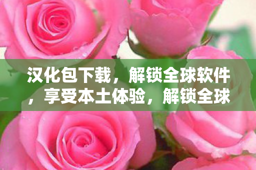 汉化包下载，解锁全球软件，享受本土体验，解锁全球软件，汉化包下载，尽享本土体验