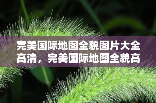 完美国际地图全貌图片大全高清图片