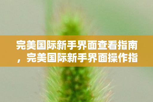 完美国际新手界面查看指南图片