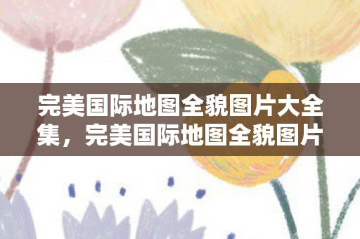 完美国际地图全貌图片大全集图片