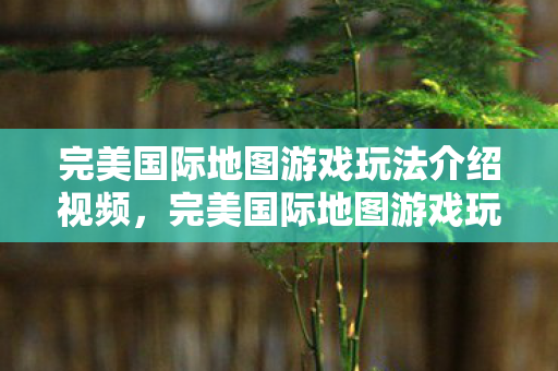 完美国际地图游戏玩法介绍视频图片