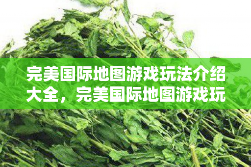 完美国际地图游戏玩法介绍大全图片