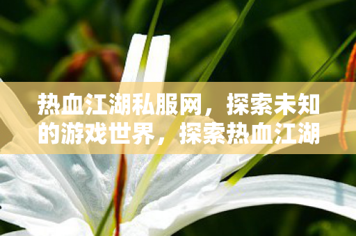 探索未知的游戏世界图片