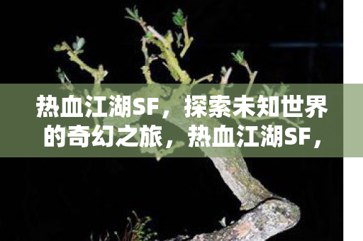 探索未知世界的奇幻之旅图片