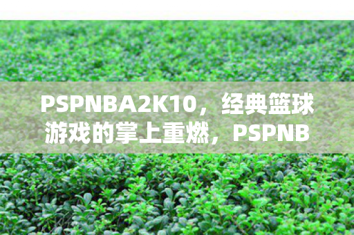 PSPNBA2K10，经典篮球游戏的掌上重燃，PSPNBA2K10，经典篮球游戏掌上重燃