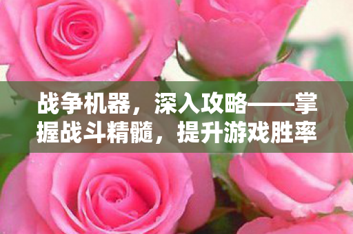 战争机器,深入攻略——掌握战斗精髓,提升游戏胜率,战争机器,掌握战斗精髓,提升游戏胜率的深入攻略 战争机器,深入攻略——掌握战斗精髓,提升游戏胜率,战争机器,掌握战斗精髓,提升游戏胜率的深入攻略
