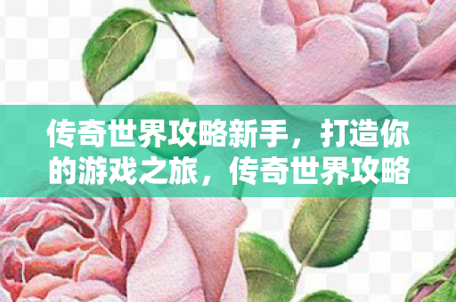 传奇世界攻略新手图片