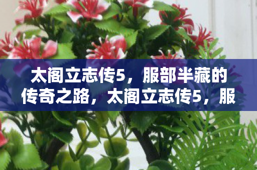 太阁立志传5，服部半藏的传奇之路，太阁立志传5，服部半藏传奇之路