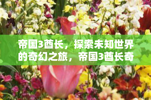 帝国3酋长,探索未知世界的奇幻之旅,帝国3酋长奇幻之旅,探索未知世界的冒险 帝国3酋长,探索未知世界的奇幻之旅,帝国3酋长奇幻之旅,探索未知世界的冒险