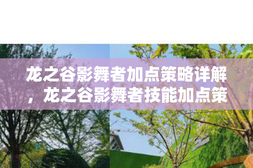 龙之谷影舞者加点策略详解，龙之谷影舞者技能加点策略全解析