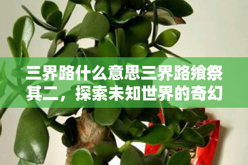 三界路什么意思三界路飨祭其二，探索未知世界的奇幻之旅，三界路飨祭其二，探索未知世界的奇幻之旅