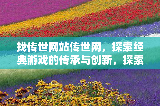 找传世网站传世网，探索经典游戏的传承与创新，探索传世网，经典游戏的传承与创新