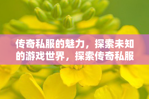 探索未知的游戏世界图片
