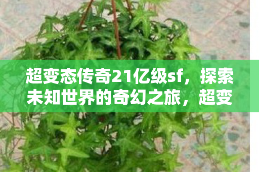 超变态传奇21亿级sf，探索未知世界的奇幻之旅，超变态传奇21亿级sf，探索未知世界的奇幻之旅