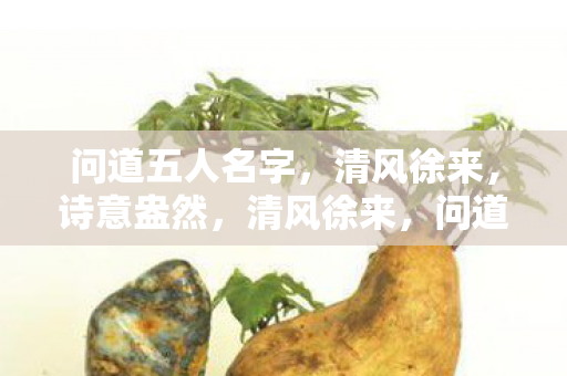 问道五人名字，清风徐来，诗意盎然，清风徐来，问道五人名字，诗意盎然