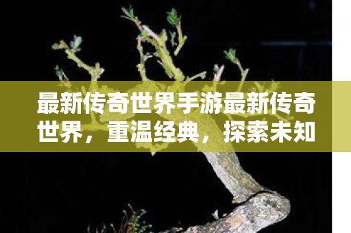 最新传奇世界手游最新传奇世界，重温经典，探索未知，最新传奇世界手游，重温经典，探索未知