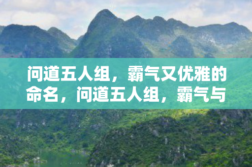 问道五人组,霸气又优雅的命名,问道五人组,霸气与优雅并存的命名 问道五人组,霸气又优雅的命名,问道五人组,霸气与优雅并存的命名