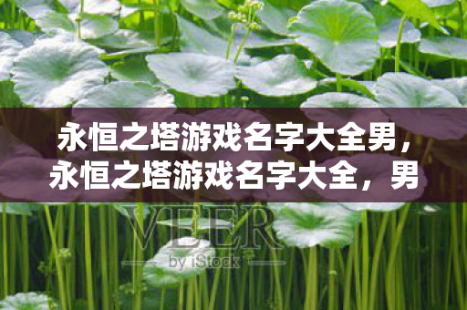 永恒之塔游戏名字大全男图片