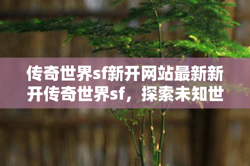 传奇世界sf新开网站最新新开传奇世界sf，探索未知世界的奇妙之旅，探索未知世界的奇妙之旅，新开传奇世界sf网站等你来战