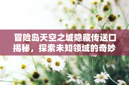 冒险岛天空之城隐藏传送口揭秘，探索未知领域的奇妙之旅，冒险岛天空之城隐藏传送口揭秘，探索未知领域的奇妙之旅