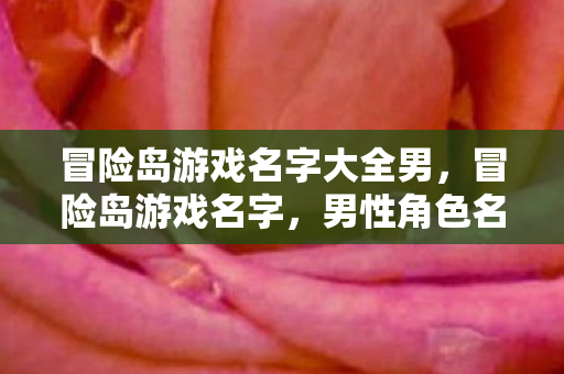冒险岛游戏名字大全男图片