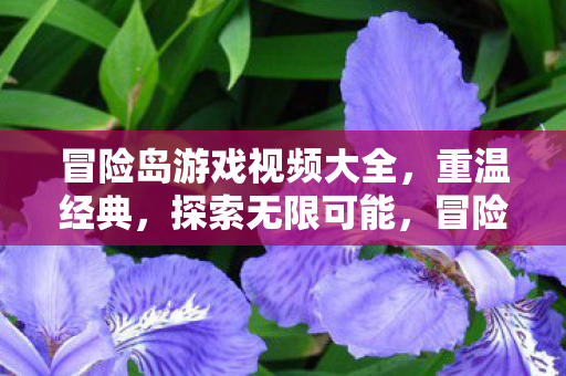 冒险岛游戏视频大全,重温经典,探索无限可能,冒险岛游戏视频集锦,重温经典,探索无限可能 冒险岛游戏视频大全,重温经典,探索无限可能,冒险岛游戏视频集锦,重温经典,探索无限可能